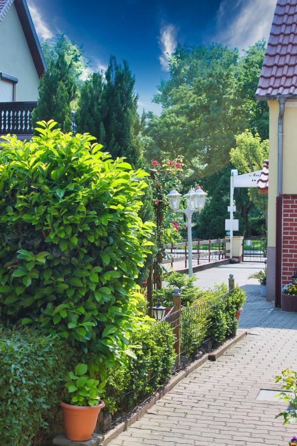 Pension Luisenhof Tangermünde Esterno foto